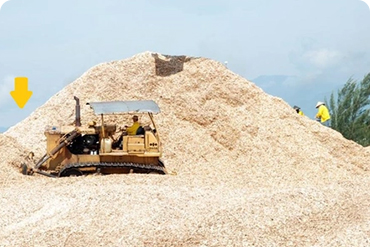   Vietnam: Strategic supplier of wood pellets with great developement room